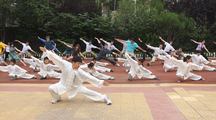 外国武术爱好者与鸳鸯螳螂拳传习班的学员一起学习武术